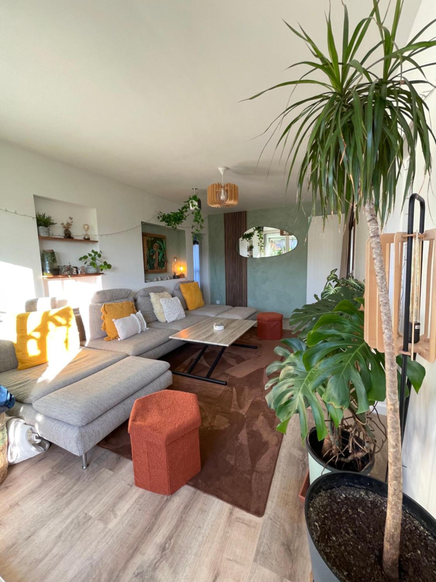 Appartement T3 - Foret & Plage Anglet Extérieur photo