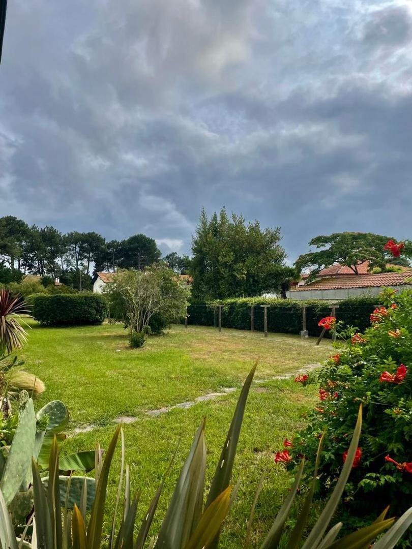 Appartement T3 - Foret & Plage Anglet Extérieur photo