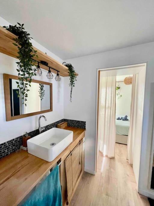 Appartement T3 - Foret & Plage Anglet Extérieur photo